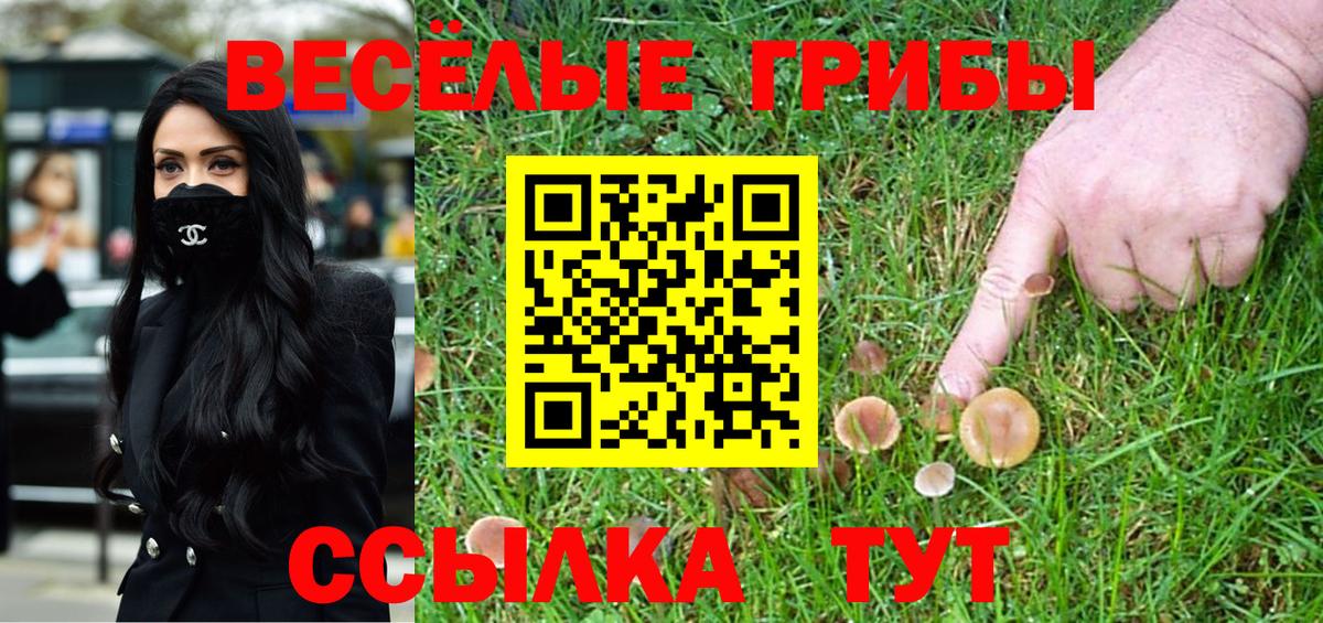 Галлюциногенные грибы Psilocybine cubensis  Вход с VPN  Сегежа 