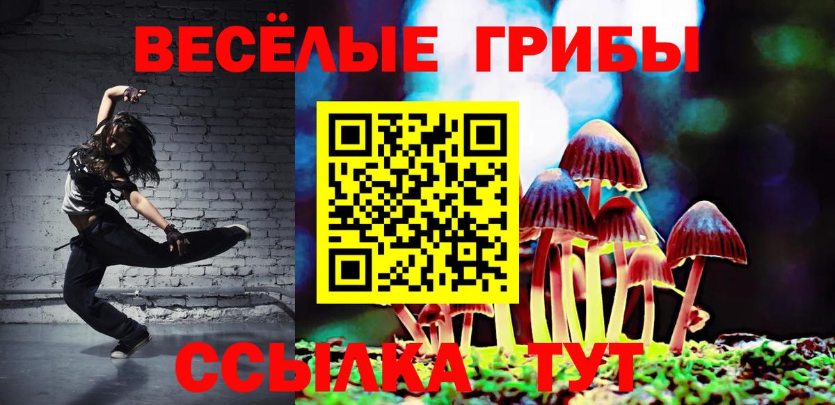 Галлюциногенные грибы ЛСД Сегежа